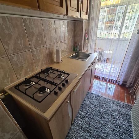Garsoniera Slanic-Moldova Apartment Luaran gambar